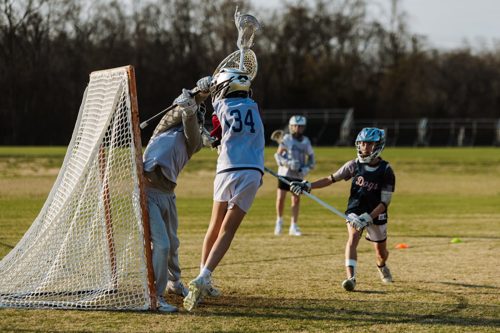 Mad Dogs — Crease Collision — Mad Dogs Lacrosse