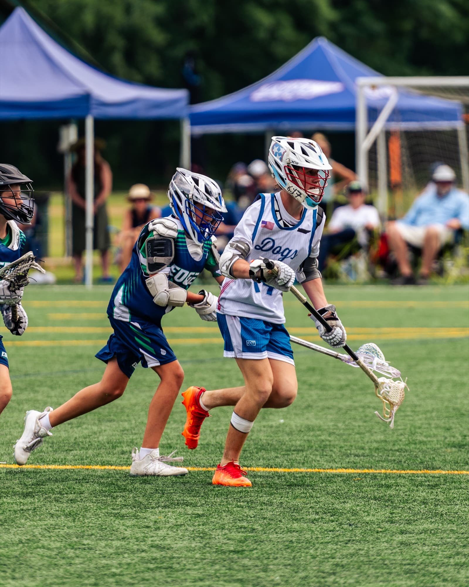 Mad Dogs — Dodge and Drive — Mad Dogs Lacrosse