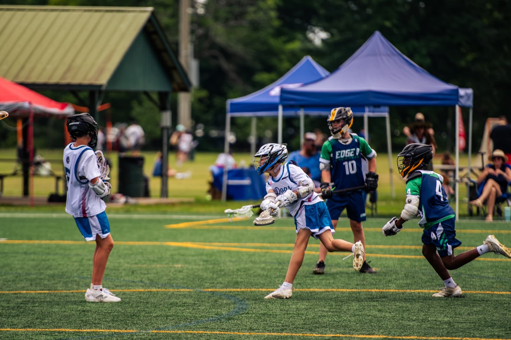 Mad Dogs — Ground Ball Scramble — Mad Dogs Lacrosse